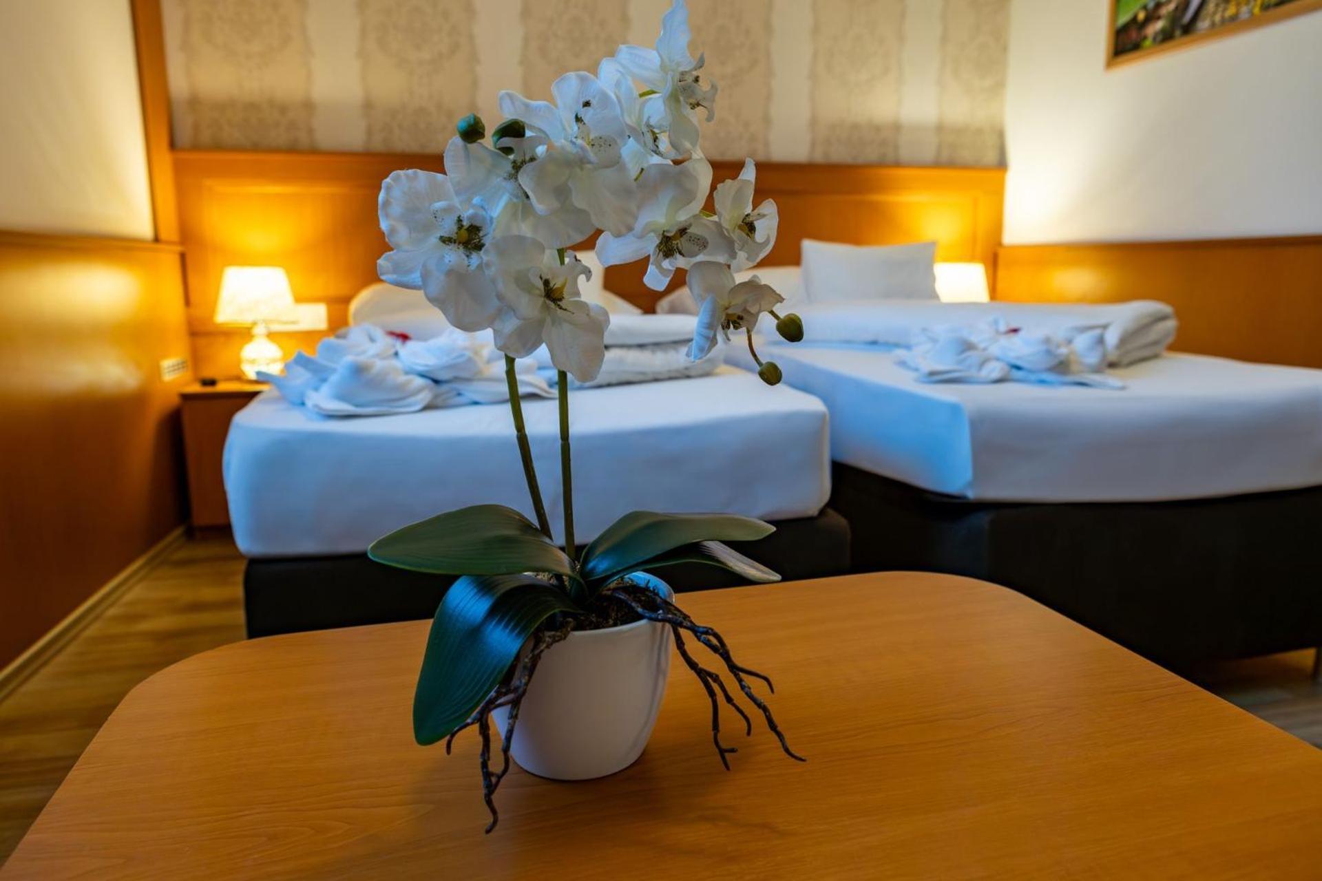 Hotel Barbakan Печ Экстерьер фото
